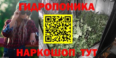 крисы Нягань