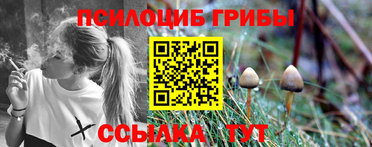 Псилоцибиновые грибы мухоморы  Псилоцибиновые грибы Cubensis  Вход с VPN  где можно купить наркотик  Урус-Мартан 