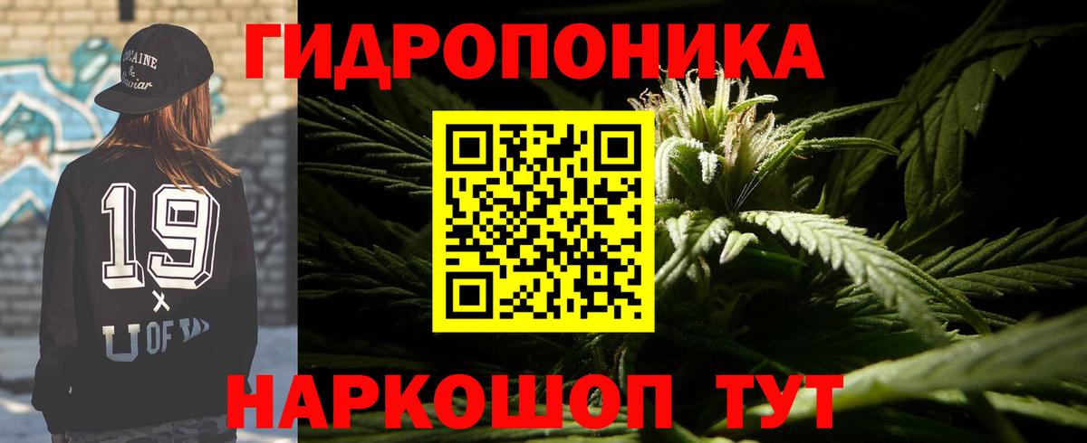 Бошки Шишки OG Kush Урус-Мартан